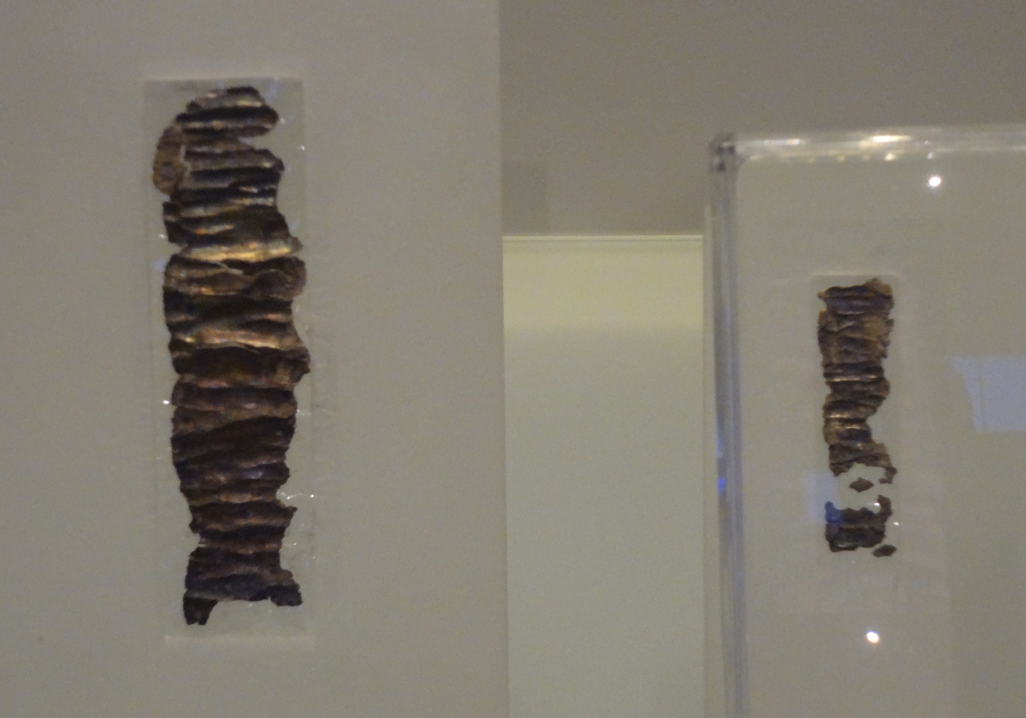 Two narrow, crumpled silver amulets displayed at the Israel Museum, with the larger strip on the left and the smaller on the right.